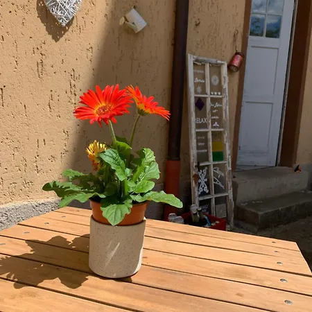 Fuer Gruppen Und Familien - Grosse Naehe Stadtpark, 4 Schlafzimmer, 2 Baeder, Terrasse, Parkplatz Appartamento *