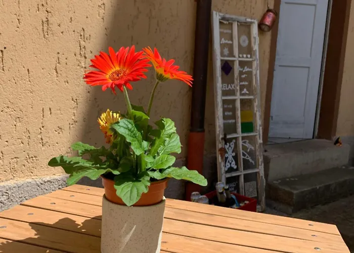 Fuer Gruppen Und Familien - Grosse Naehe Stadtpark, 4 Schlafzimmer, 2 Baeder, Terrasse, Parkplatz Appartement *